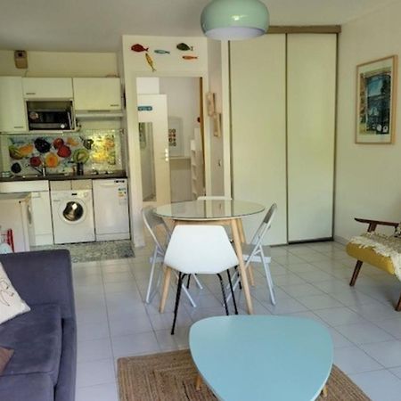 Nice Studio 30 M With Terrace And Pool 昂蒂布 外观 照片