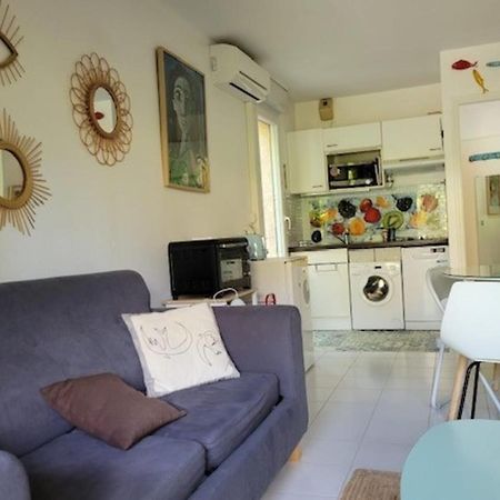 Nice Studio 30 M With Terrace And Pool 昂蒂布 外观 照片